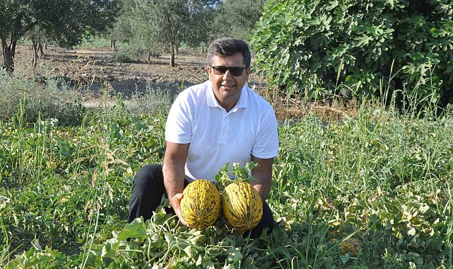 Kırkağaç Kavunu AB'den tescil alan 38. ürün oldu