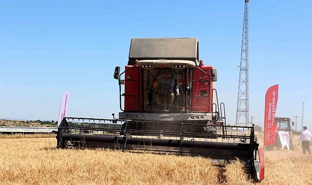 Kırklareli Valisi Turan, buğday hasadına katıldı