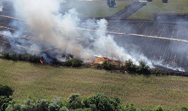 Kırklareli'de ağaçlık alana sıçraya anız yangını havadan ve karadan müdahaleyle söndürüldü