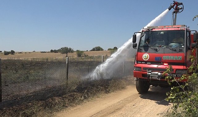 Kırklareli'nde çıkan yangında 20 dekar ceviz bahçesi zarar gördü