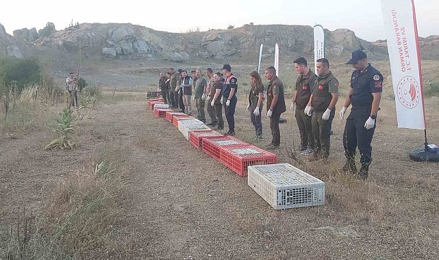Kırklareli'nde doğaya keklik salındı