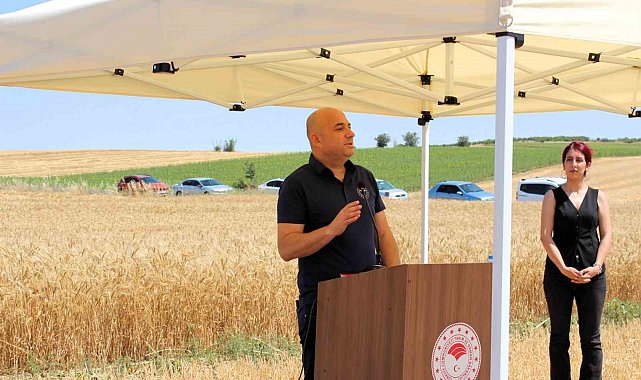 Kırklareli'nde yerli ve milli buğday hasadı yapıldı