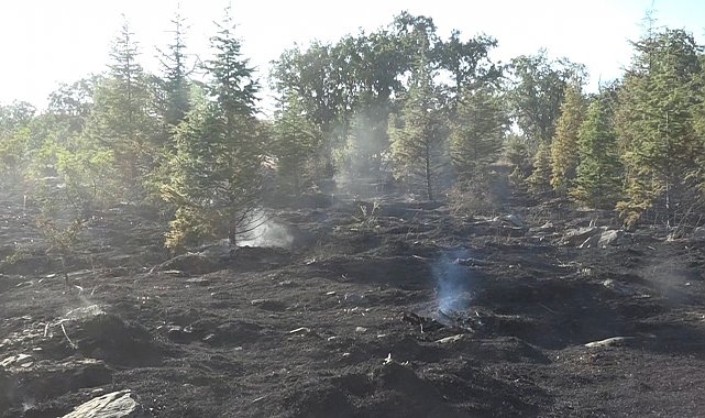 Kırklareli'nin Yündalan köyündeki orman yangını kontrol altına alındı