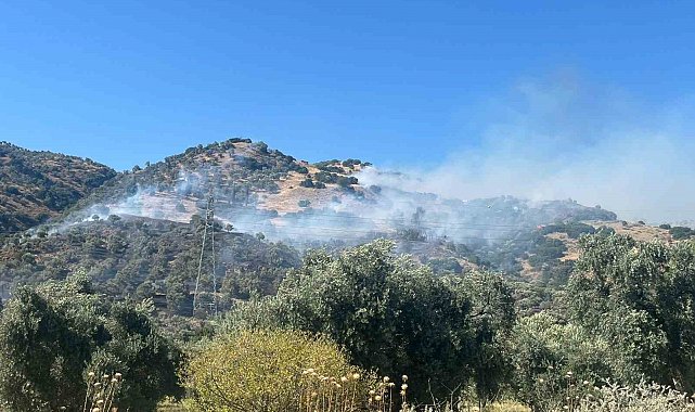 Kızılcaköy yangını kontrol altına alındı