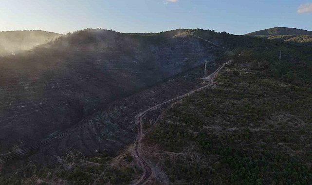 Kocaeli'deki orman yangını söndürüldü