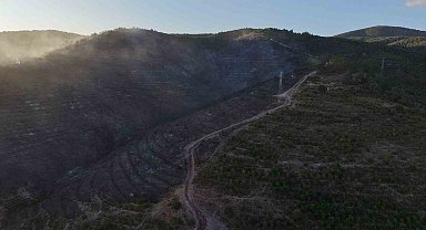 Kocaeli'deki orman yangını söndürüldü