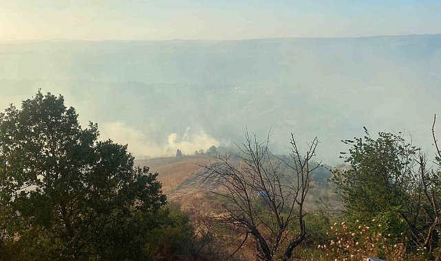 Kocaeli'nin farklı noktalarında aynı anda çıkan yangınlara müdahale sürüyor
