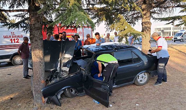 Tofaş orta refüjdeki ağaca çarptı: 1 yaralı