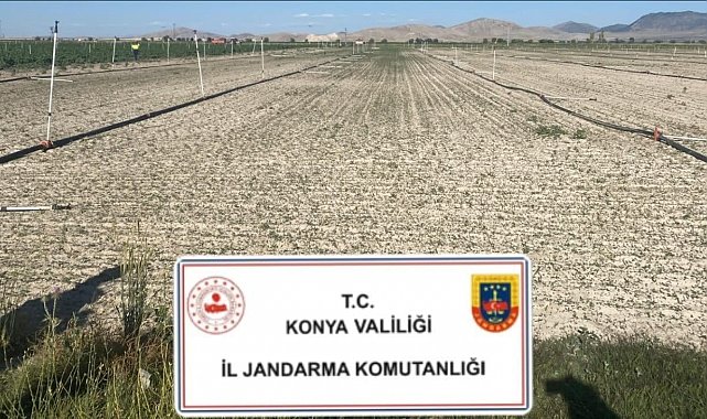 Konya'da jandarmadan uyuşturucu operasyonları