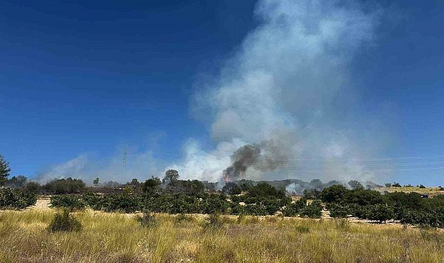 Köylüler alevlere set oldu