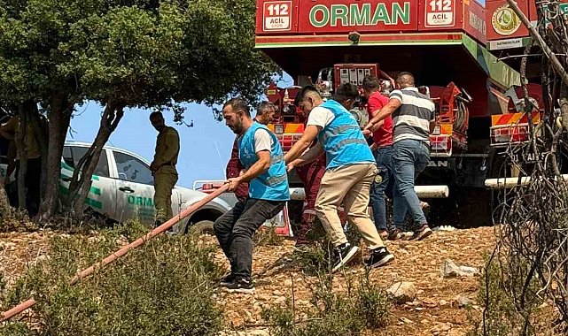 Kozan'daki orman yangınına müdahale sürüyor