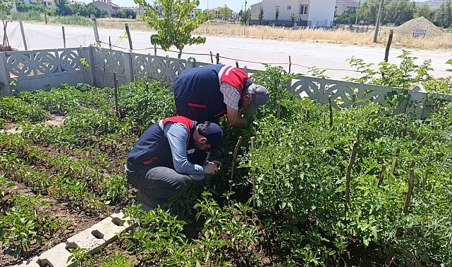 Küçük ölçekli üreticilere destek veriyor