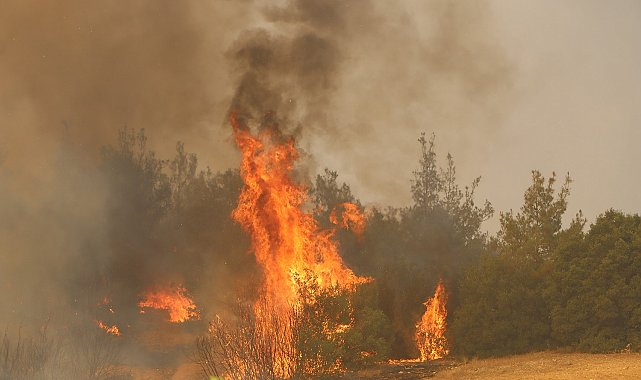 Kula'da orman yangınına müdahale sürüyor