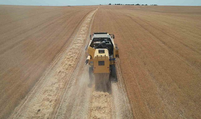 Kurak yıla rağmen umut veren hasat: Verimde yüzde 30 artış