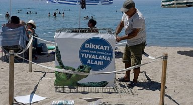 Kuşadası'nda ilk caretta caretta yuvası belirlendi