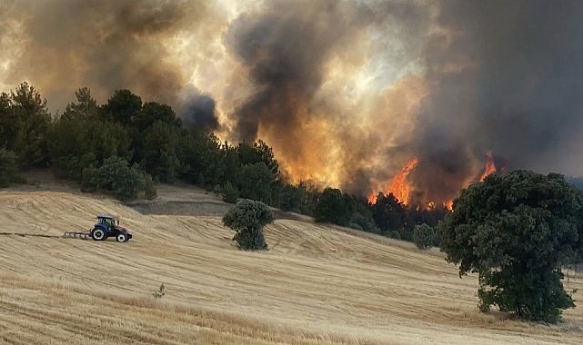 Kütahya-Uşak sınırındaki orman yangını kontrol altına alındı
