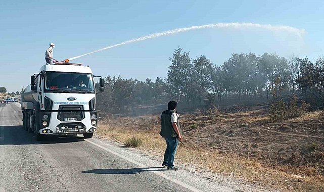 Kütahya'da çıkan orman yangını kontrol altına alındı