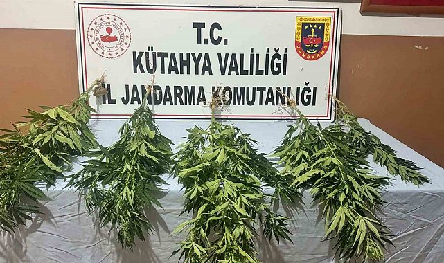 Kütahya'da jandarmadan uyuşturucu operasyonu: 2 gözaltı
