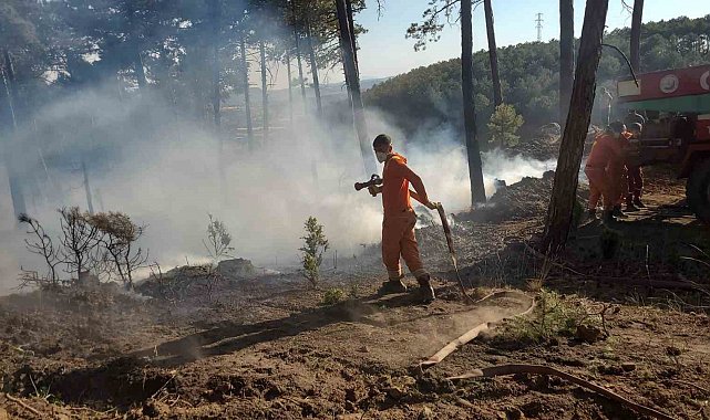 Kütahya'da orman yangını
