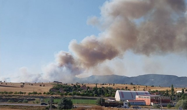 Kütahya'da orman yangını