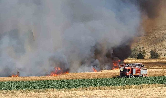 Kütahya'daki tarla yangınında yaklaşık 800 dekarlık hububat ekili alan kül oldu