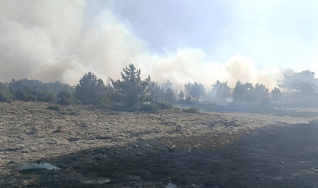 Kütahya'nın Sofça köyü yakınlarındaki orman yangını korkuttu