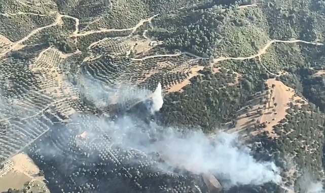 Kuyucak'ta zirai alan ve makilik yangını