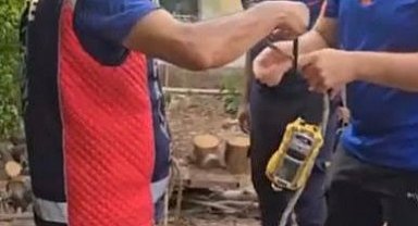 Kuyuya düşen yavru kediyi itfaiye personeli, oksijen tüpü kullanarak kurtardı
