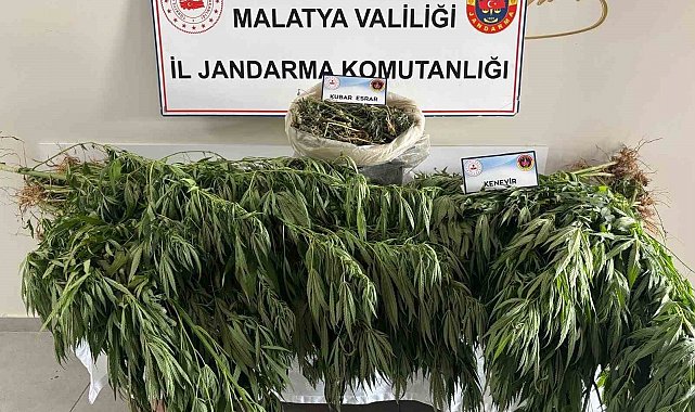 Malatya'da jandarmadan uyuşturucu operasyonu