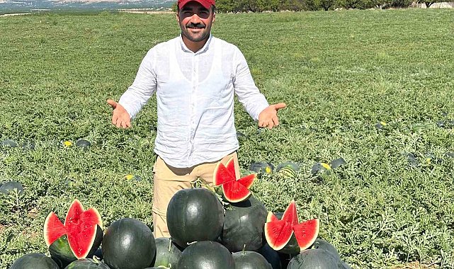 Malatya'da karpuz ve kavun hasadı yüz güldürüyor