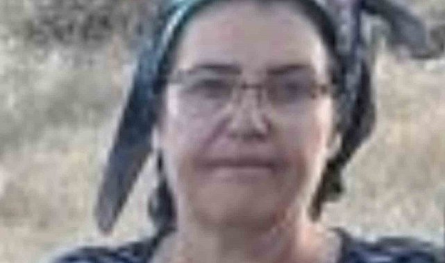 Malatya'da üç çocuk annesi havuzda ölü bulundu