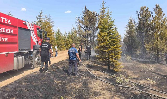 Malatya'daki orman yangını söndürüldü