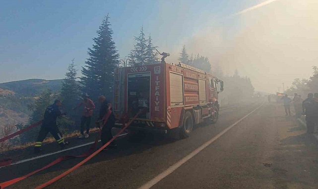 Malatya'daki orman yangınına havadan ve karadan müdahale sürüyor