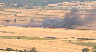 Malkara'da anız yangını: 200 dönüm buğday tarlası kül oldu