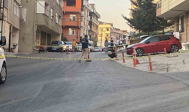 Maltepe'de kamyonetin çarptığı kadın hayatını kaybetti, kaçan şoför yakalandı