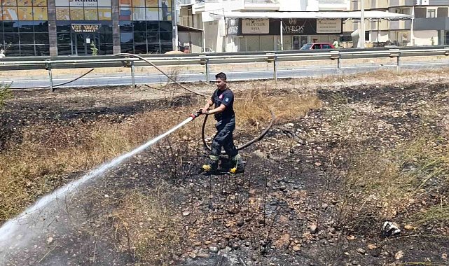 Manavgat'ta söndürülmeden atılan sigara sazlık yangınına neden oldu