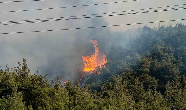 Manisa Valisi Özkan: "Yerleşim birimleri ve organize sanayi bölgesine yakın olan yangınla ilgili tüm tedbirleri aldık"