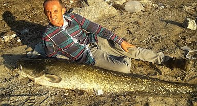 Manisa'da boyu kadar balık yakaladı