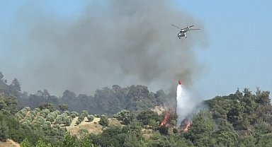 Manisa'daki alevlere 5 uçak ve 7 helikopterle müdahale