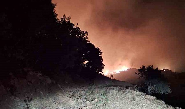 Manisa'nın Köprübaşı ilçesinde de orman yangını başladı