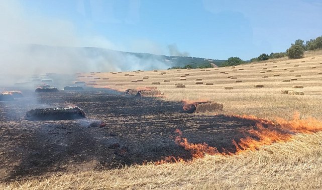 Manyas'ta anız ve makilik alanda çıkan yangın kontrol altına alındı