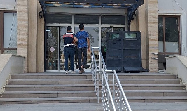 Mardin'de anız yaktığı anları sosyal medyadan paylaşan şahıs gözaltına alındı