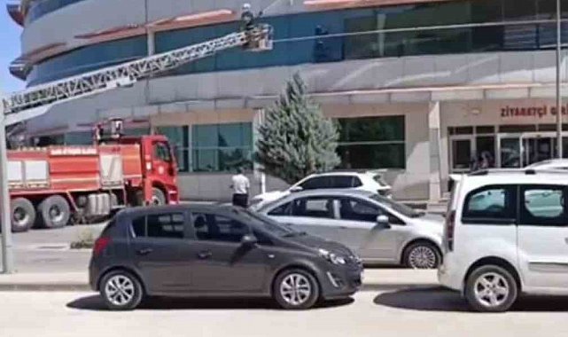 Mardin'de hastanenin dış cephesinde mahsur kalan kedi kurtarıldı