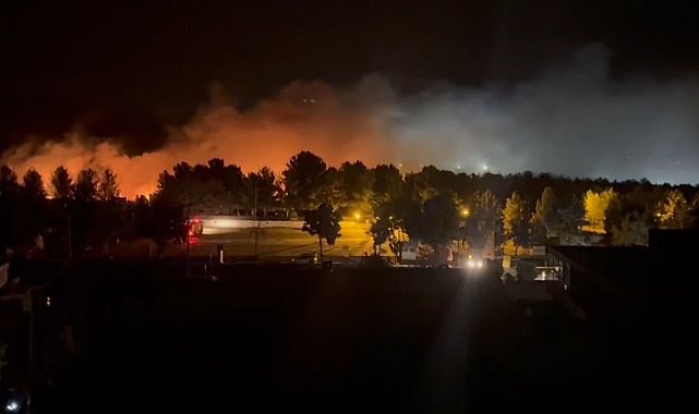 Mardin'de orman yangını