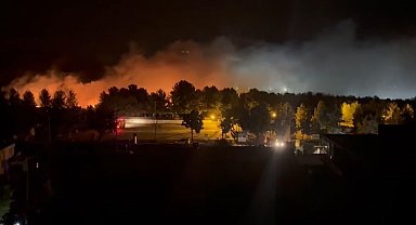 Mardin'de orman yangını