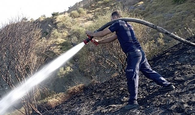 Marmara Adası'nda arazi yangını söndürüldü