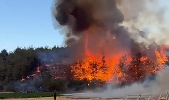 Medetli köyünde orman yangını başladı