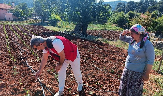 Menteşe'de tarım ekiplerinden ürün kontrolü ve çiftçi ziyareti gerçekleştirildi