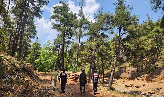 Mersin jandarmasından ormanlara sıkı koruma