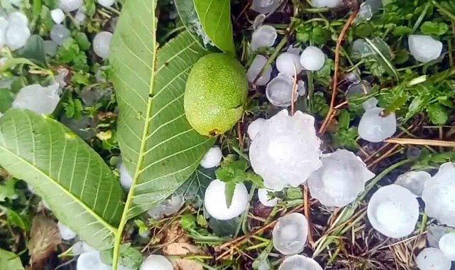 Mersin'de şiddetli dolu yağışı etkili oldu